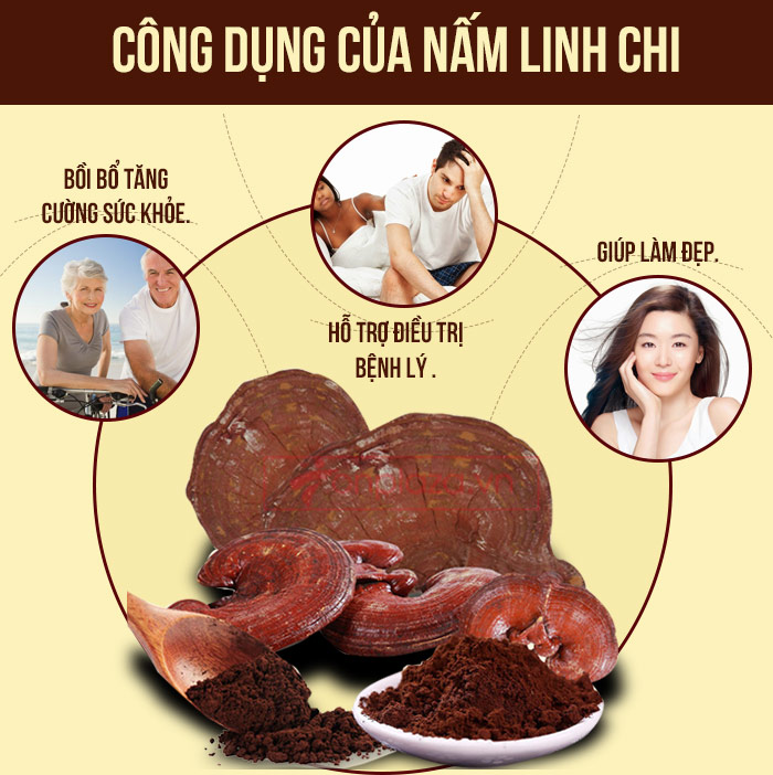 Công dụng nấm linh chi