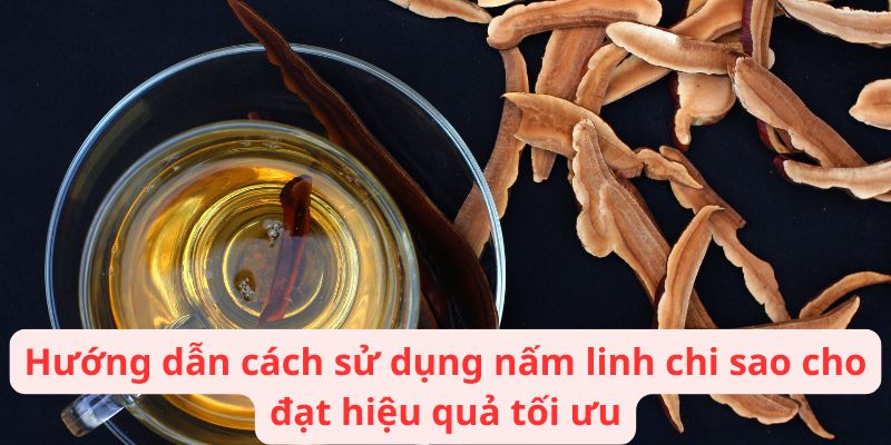 Hướng dẫn cách sử dụng nấm linh chi sao cho đạt hiệu quả tối ưu