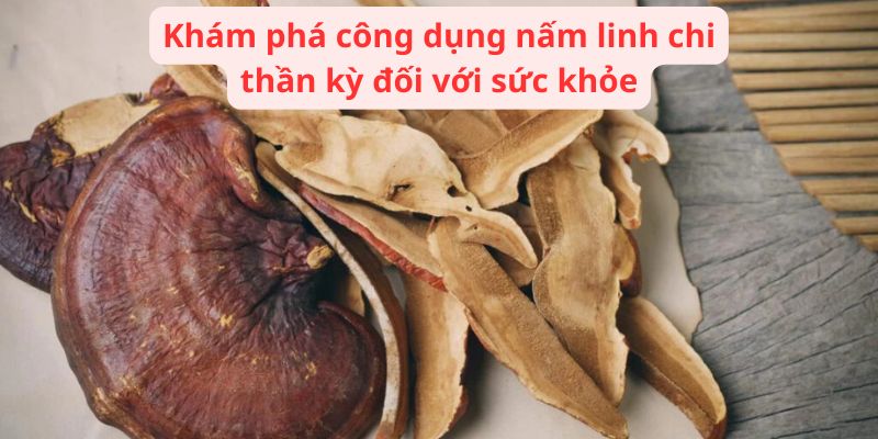 Khám phá công dụng nấm linh chi thần kỳ đối với sức khỏe