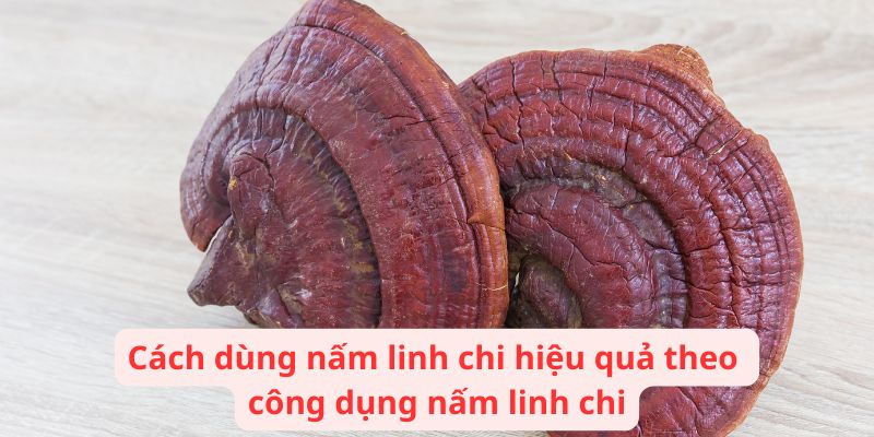 Cách dùng nấm linh chi hiệu quả theo công dụng nấm linh chi